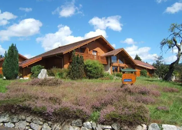 B&B Chalet L'Epinette Gérardmer