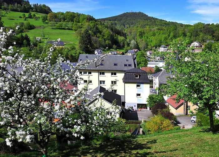 Hôtel aux Bruyères Orbey