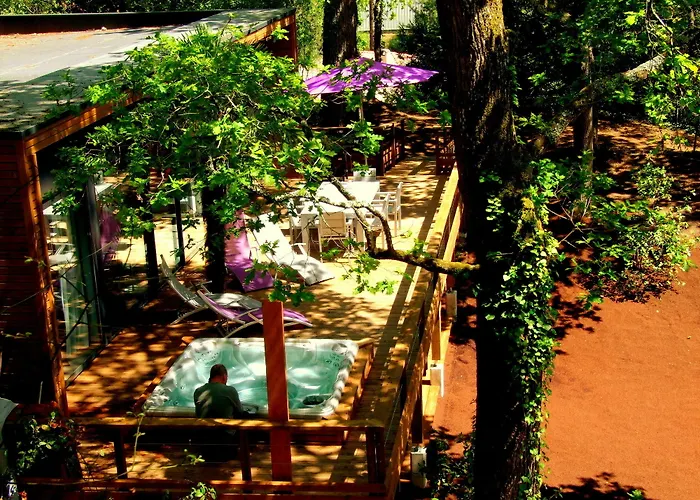 Villa Oasis Arcachon