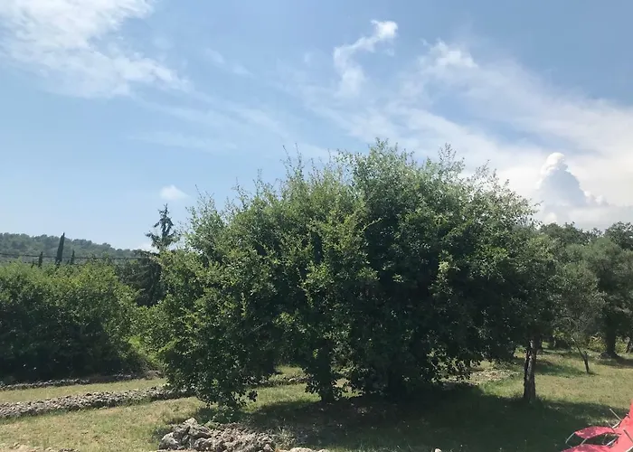 Villa Du Sud Vence