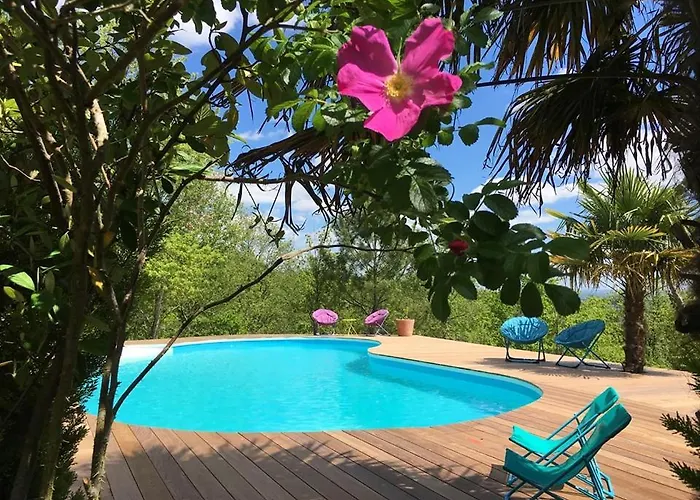 Villa Le Triangle d'Or à Gaillac avec Piscine